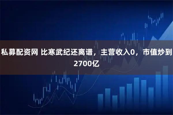 私募配资网 比寒武纪还离谱，主营收入0，市值炒到2700亿