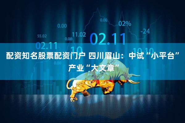配资知名股票配资门户 四川眉山：中试“小平台” 产业“大文章”